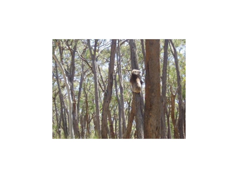 320 Ferrers Road, Dereel VIC 3352