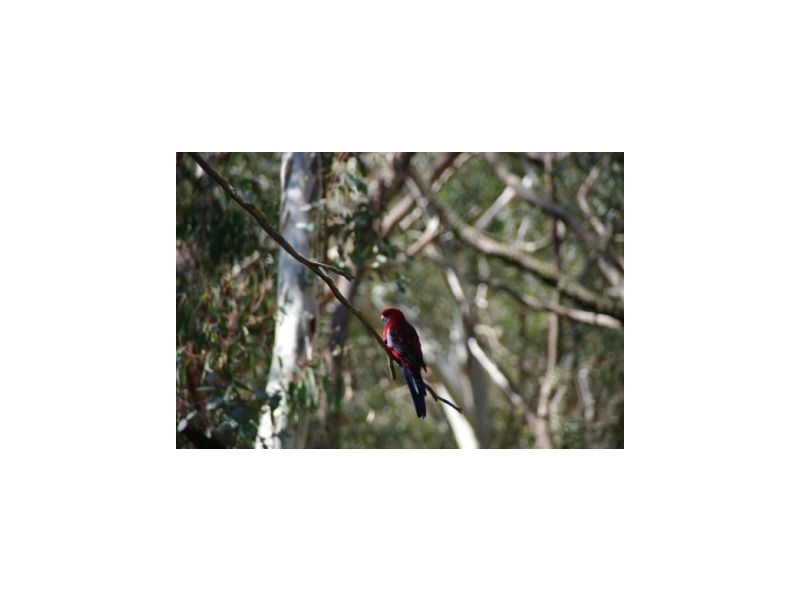 320 Ferrers Road, Dereel VIC 3352