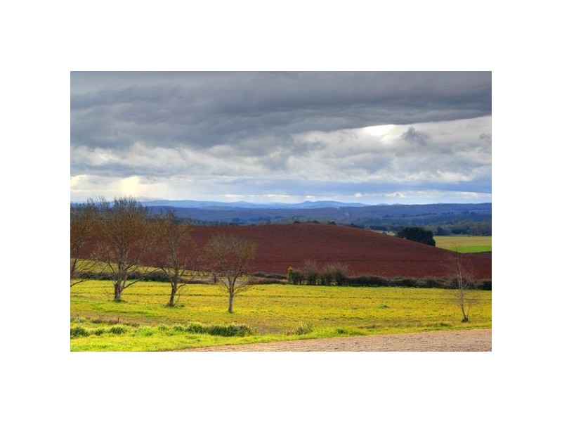 Kryal Castle, Forbes Road, Ballarat VIC 3350