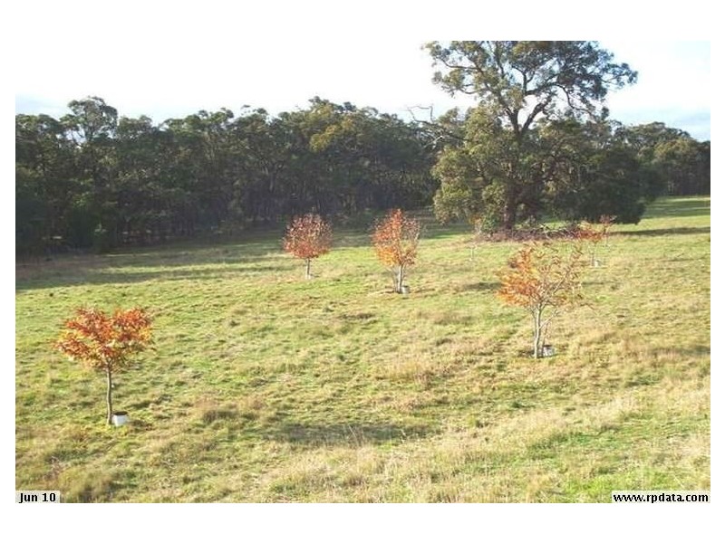 162 Flagstaff Ridge Road, Linton VIC 3360