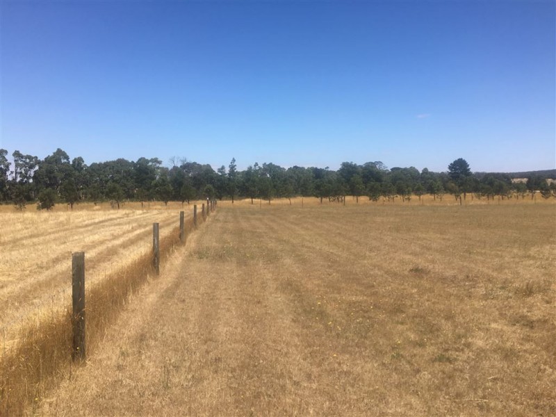 Lot 3 Galatea Road, Scarsdale VIC 3351