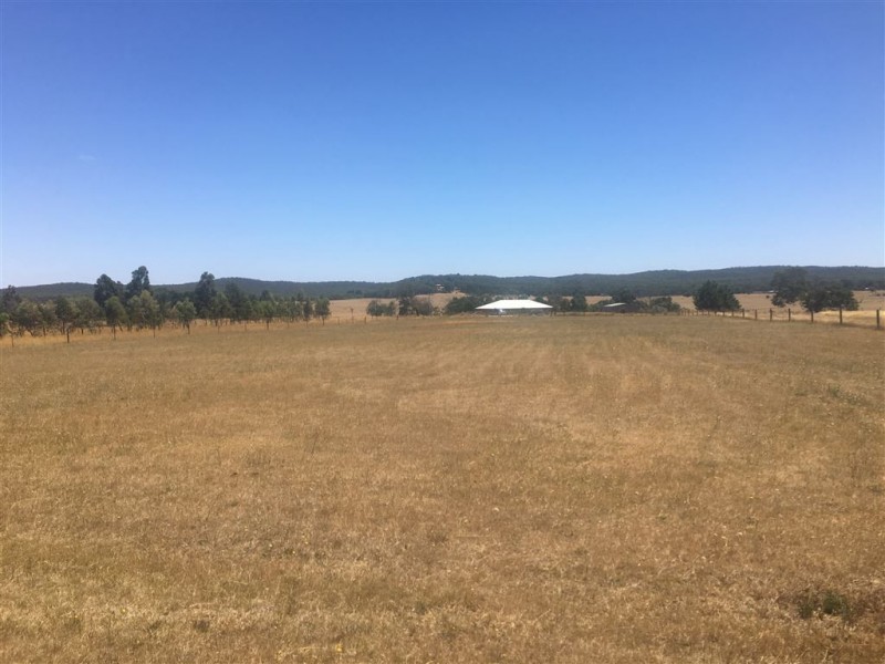 Lot 3 Galatea Road, Scarsdale VIC 3351