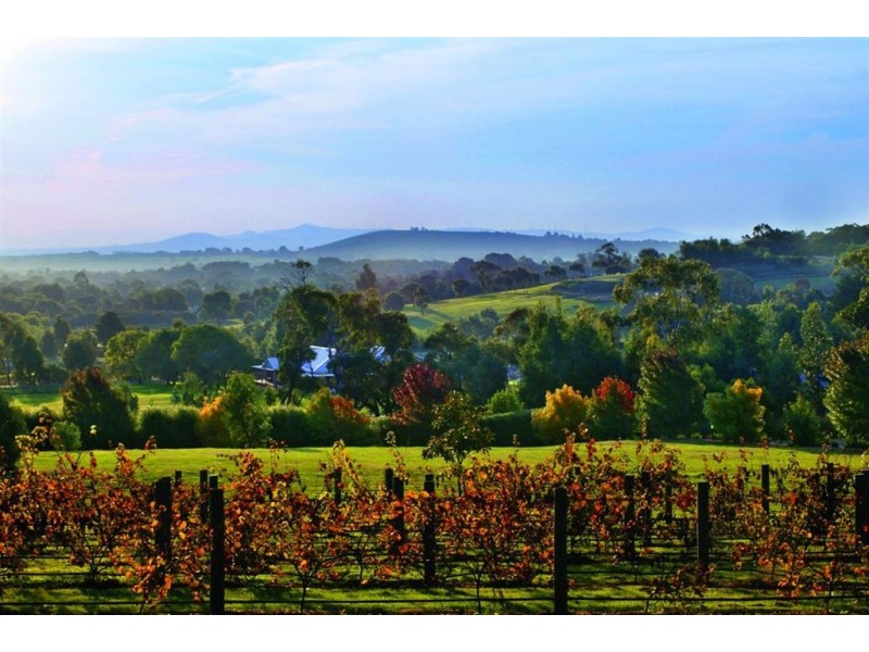 21 Pyrenees Vista Close, Invermay VIC 3352