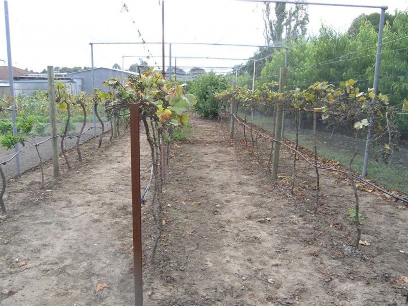 45 Roses Lane, Clunes VIC 3370