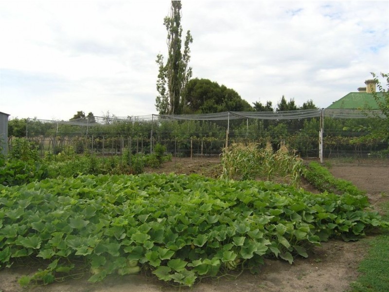 45 Roses Lane, Clunes VIC 3370