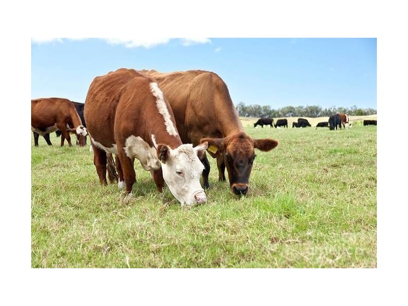 Lot 1 Diamonds Road, Lal Lal VIC 3352