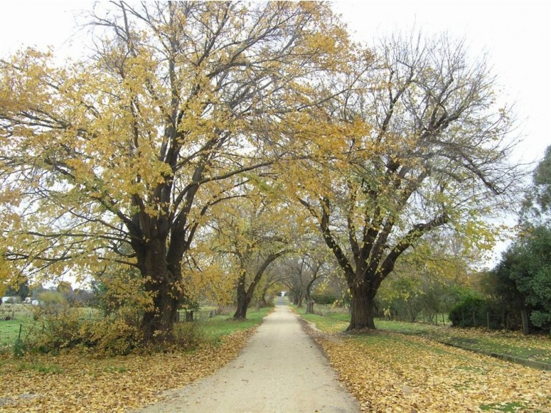 4112 Creswick Newstead, Allendale VIC 3364