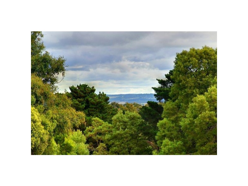 2110 Geelong Road, Mount Helen VIC 3350