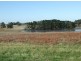 252 Elaine – Mount Mercer Road, Elaine, Ballarat VIC 3350