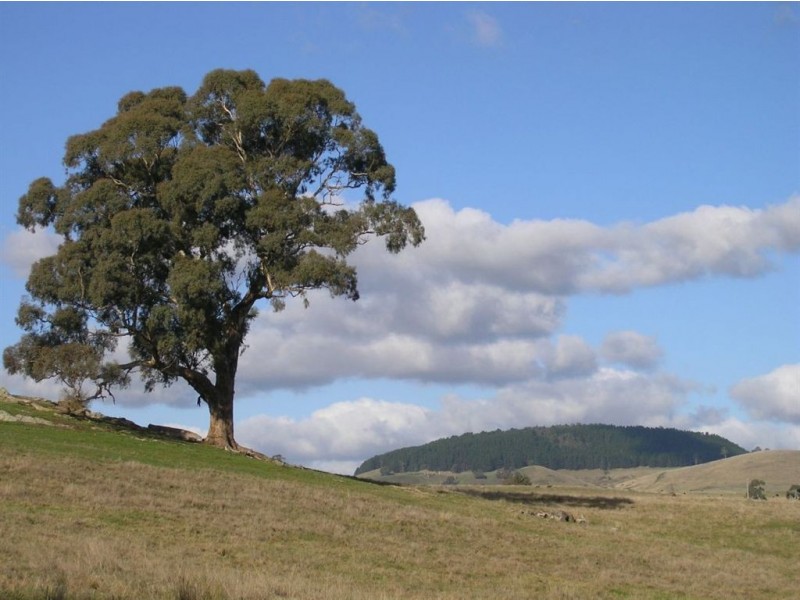 Lot 2 Ligar St, Franklinford VIC 3461