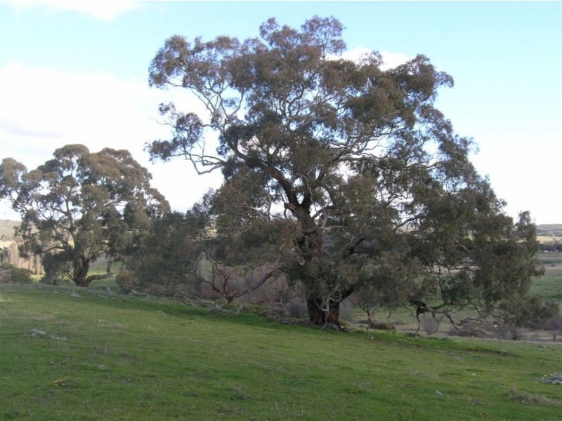 Lot 2 Ligar St, Franklinford VIC 3461