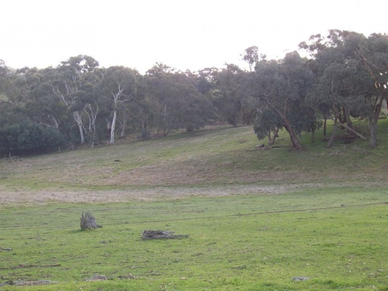 Lot 2 Ligar St, Franklinford VIC 3461