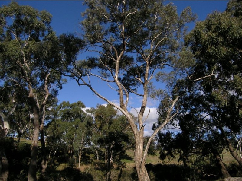 Lot 3 Clarkes Rd, Franklinford VIC 3461