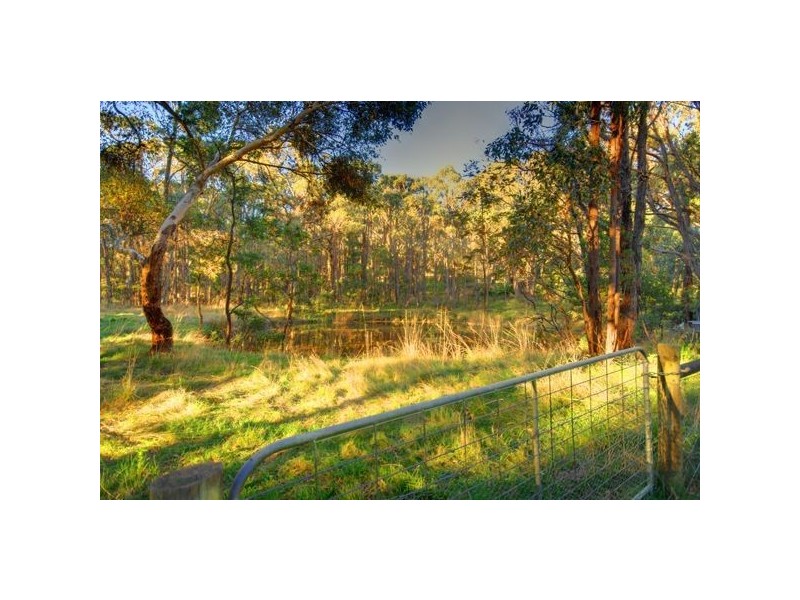 20 Banksia Street, Ballarat VIC 3350