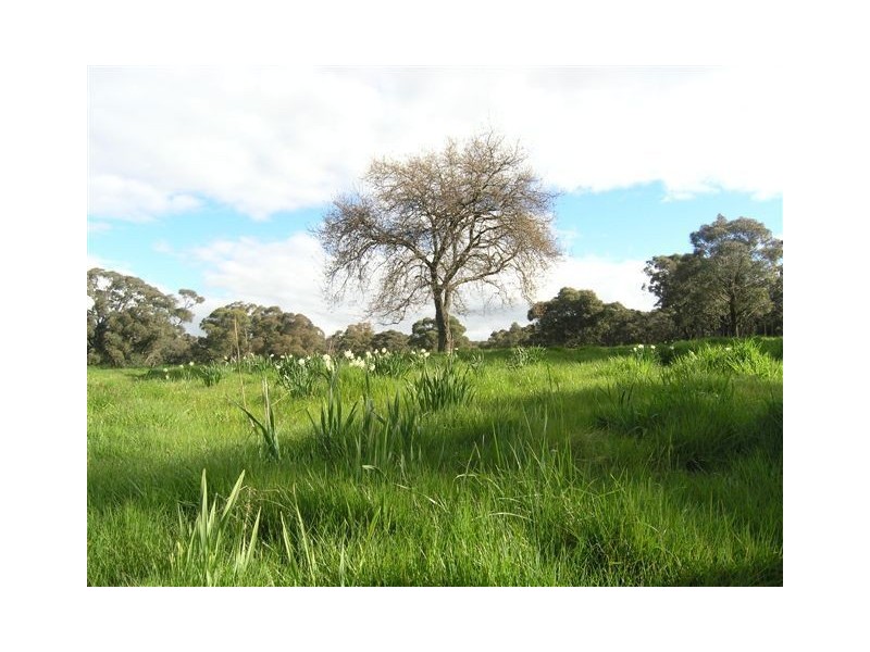 Lot 5 De Regt Drive, Creswick VIC 3363