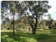 Lot 5 De Regt Drive, Creswick VIC 3363