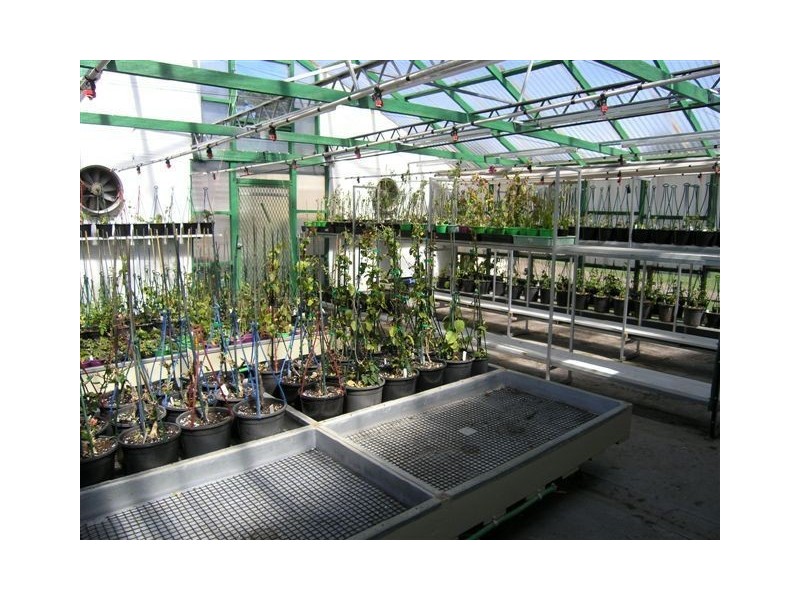 309 Kangaroo Hills Road, Daylesford VIC 3460