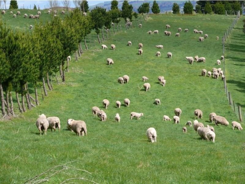 309 Kangaroo Hills Road (Blampied), Daylesford VIC 3460