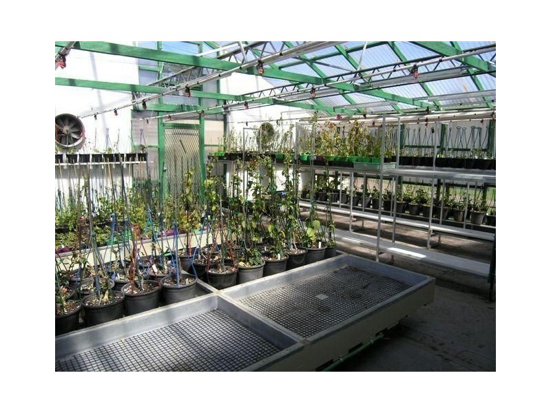 309 Kangaroo Hills Road (Blampied), Daylesford VIC 3460