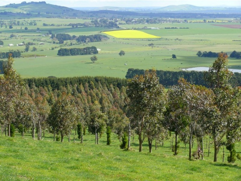 309 Kangaroo Hills Road (Blampied), Daylesford VIC 3460