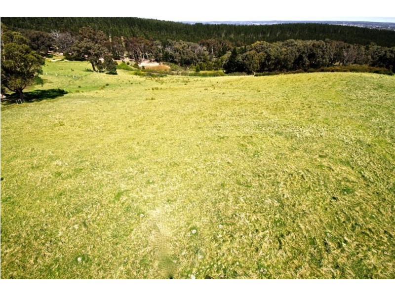 Reid Park Road, Ballarat VIC 3350