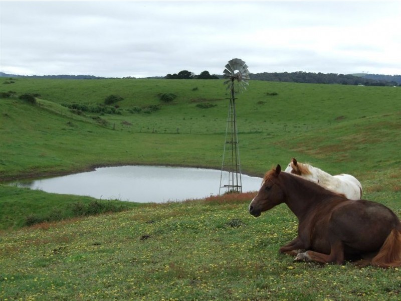 154 Slaughter House Road, Durham Lead VIC 3352