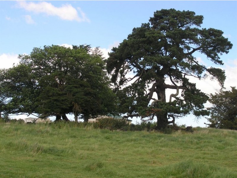 27 Kennedy Lane, Creswick VIC 3363