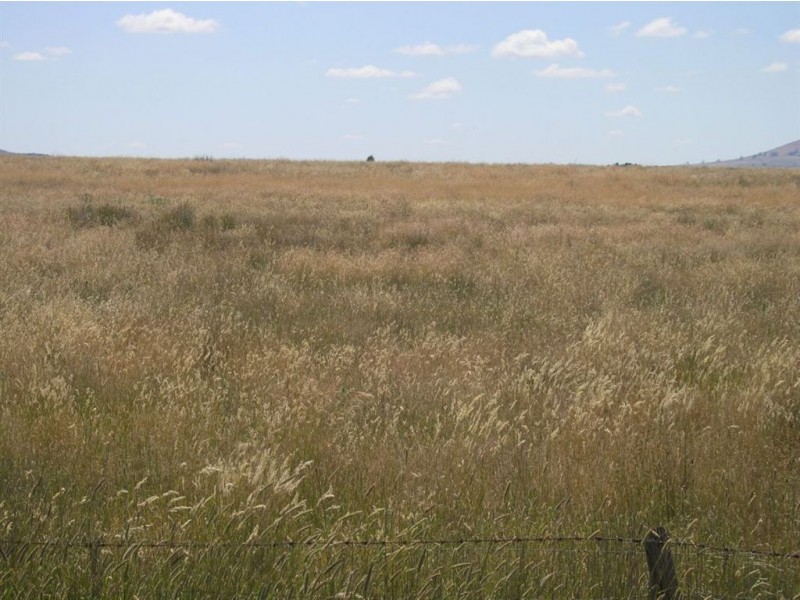 125 Slaughteryard Road, Clunes VIC 3370