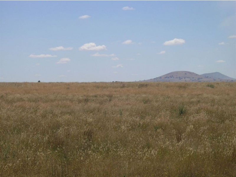 125 Slaughteryard Road, Clunes VIC 3370