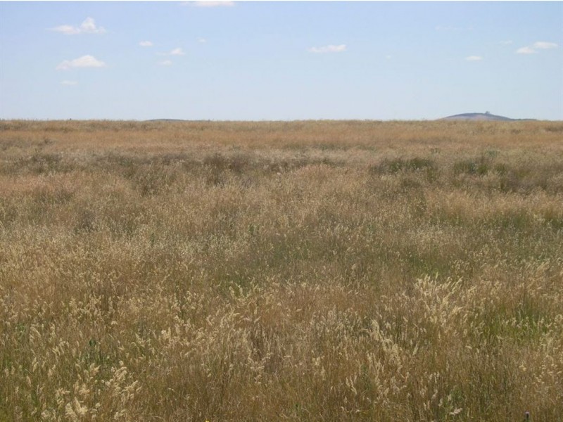 125 Slaughteryard Road, Clunes VIC 3370