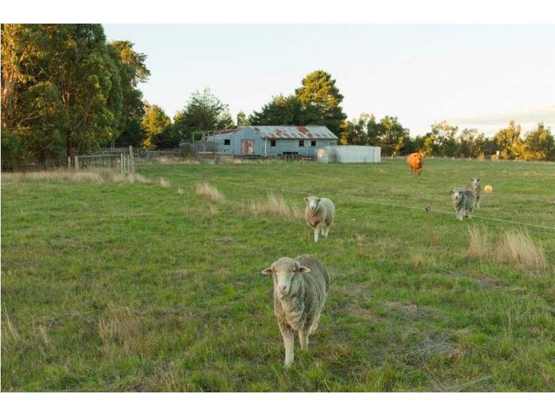 56 Schreenans Road, Ballarat VIC 3350