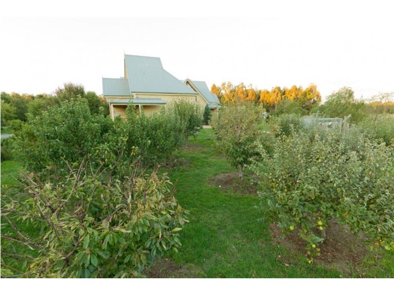 56 Schreenans Road, Ballarat VIC 3350