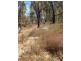 Lot 3 Coates Road, Snake Valley VIC 3351