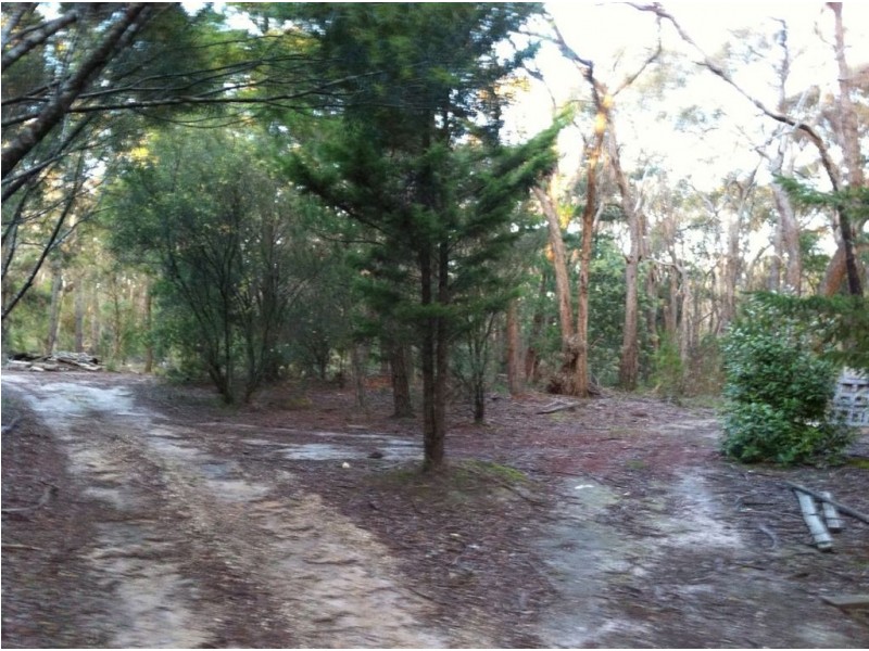 169 Woodlands Drive, Scarsdale VIC 3351