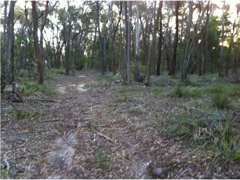 169 Woodlands Drive, Scarsdale VIC 3351