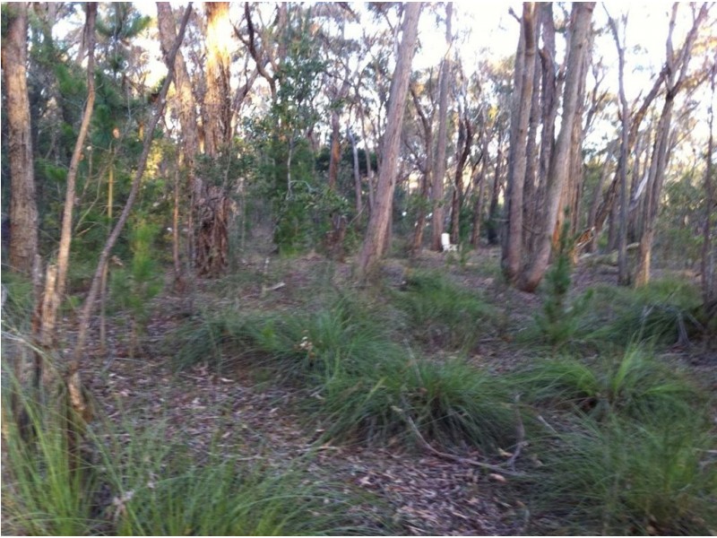 169 Woodlands Drive, Scarsdale VIC 3351