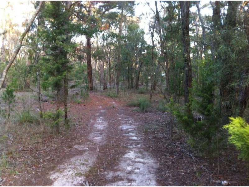 169 Woodlands Drive, Scarsdale VIC 3351