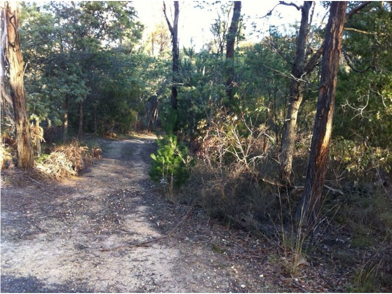 169 Woodlands Drive, Scarsdale VIC 3351