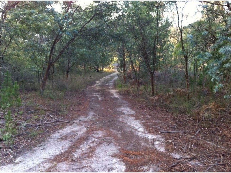 169 Woodlands Drive, Scarsdale VIC 3351