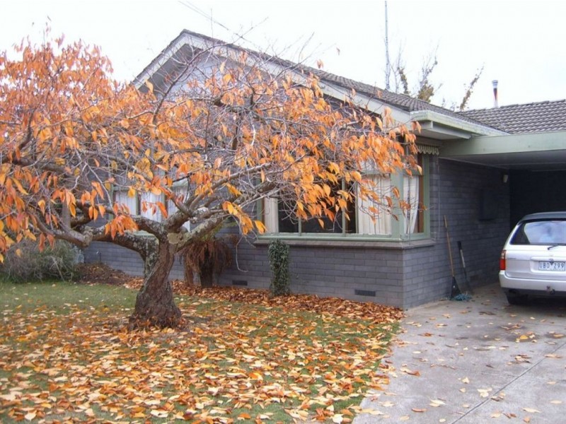 10 Freeman Street, Wendouree VIC 3355