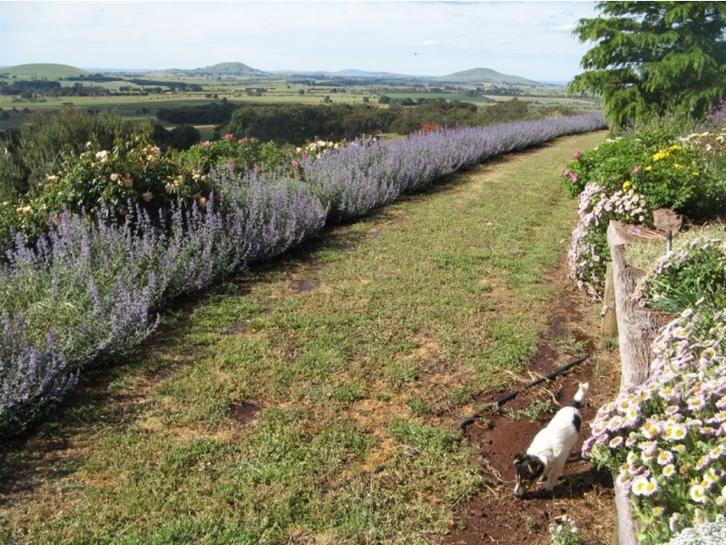 169 Alcorns Road, Kingston VIC 3364