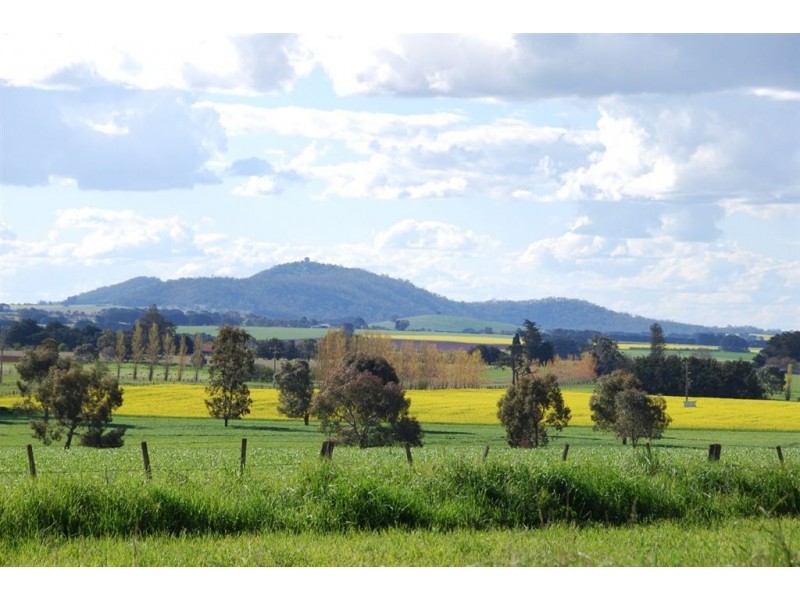 64 Ascot Hall Road, Ascot VIC 3364