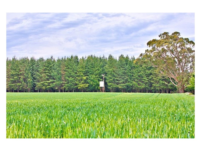 114 Wilsons Road, Ballarat VIC 3350