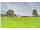 619 Wilson Street, Ballarat VIC 3350