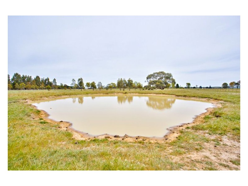 120 Exchequer Road, Cape Clear VIC 3351