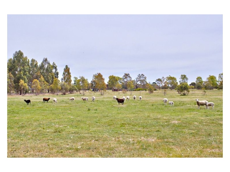 120 Exchequer Road, Cape Clear VIC 3351