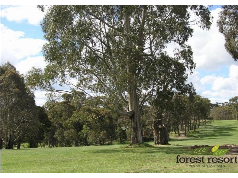 lot 99 Speargrass Court, Creswick VIC 3363