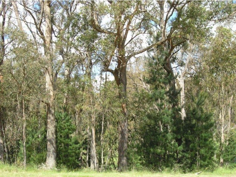 lot 105 Speargrass Court, Creswick VIC 3363