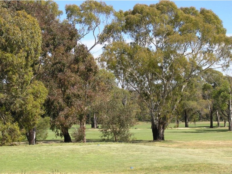 lot 56 Hickory Lane, Creswick VIC 3363