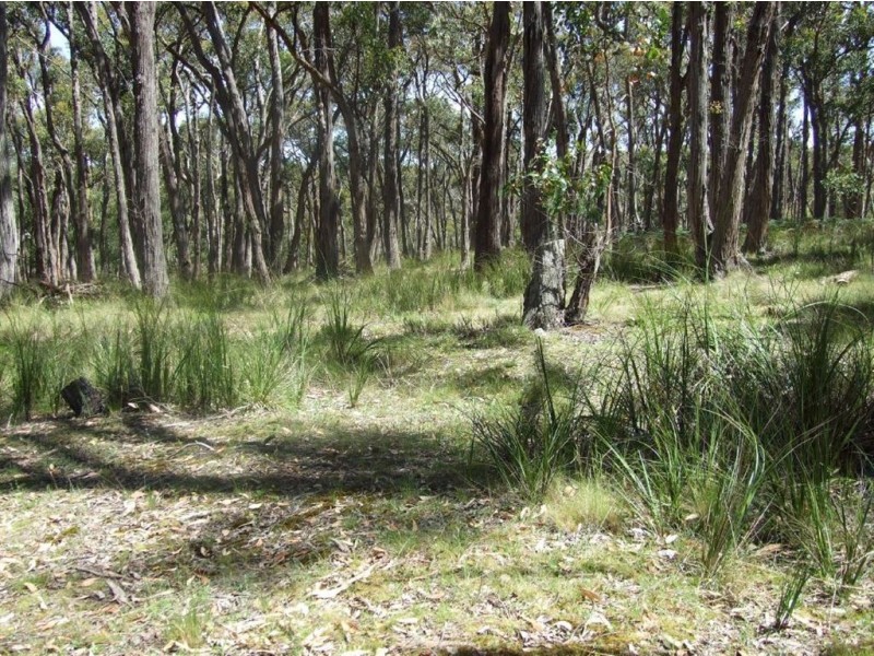 C/A 46C Platts Road, Scotsburn VIC 3352